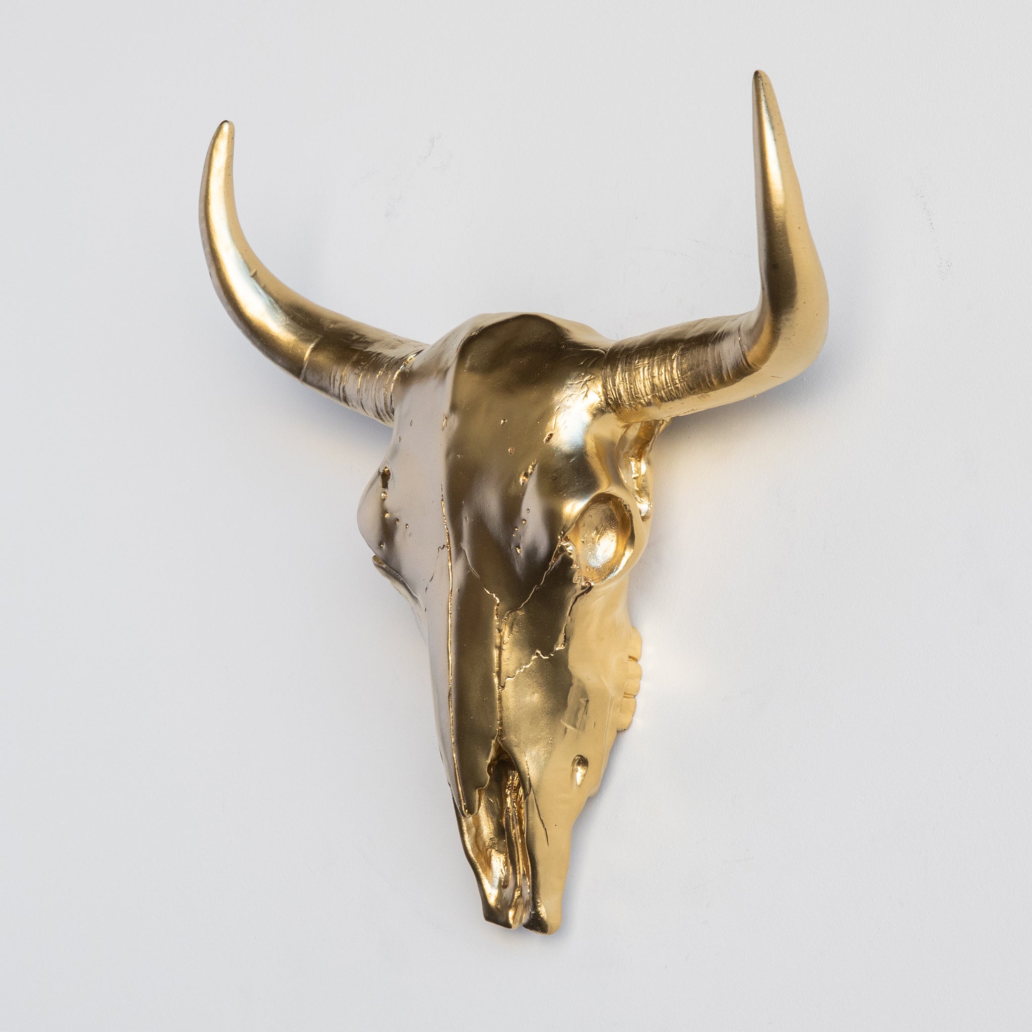Faux Bison Skull // Gold