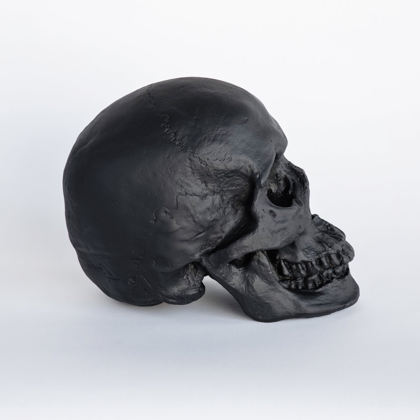 Faux Human Skull Replica // Black