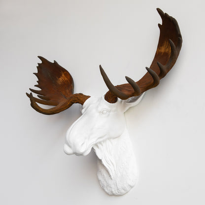 Faux Moose Head Wall Mount // White and Rust