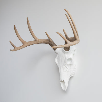 Faux Deer Skull // White with Natural Antlers