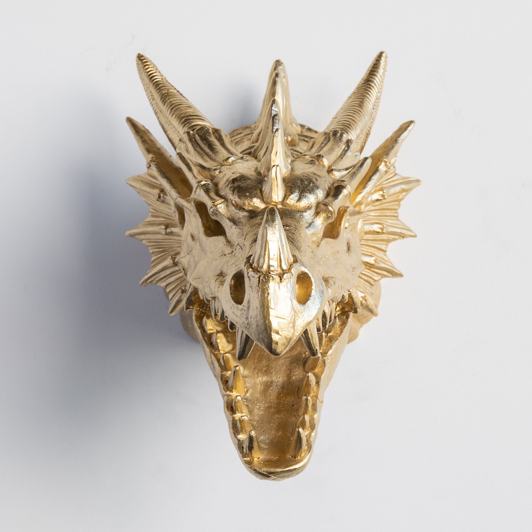 Faux Dragon Skull Mount // Gold