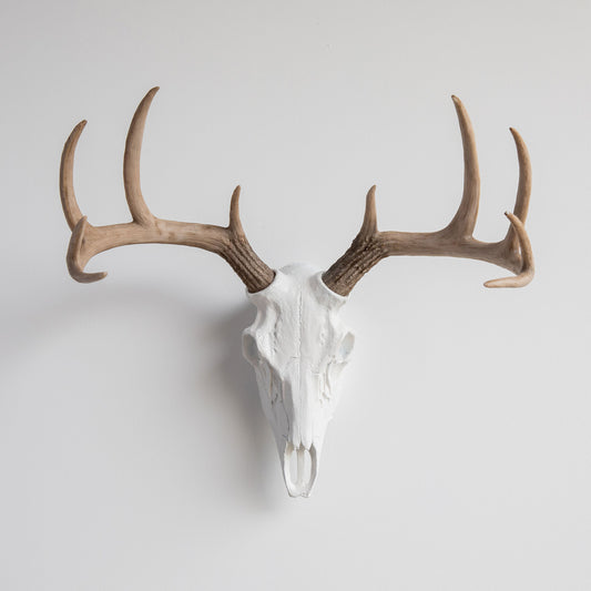 Faux Deer Skull // White with Natural Antlers