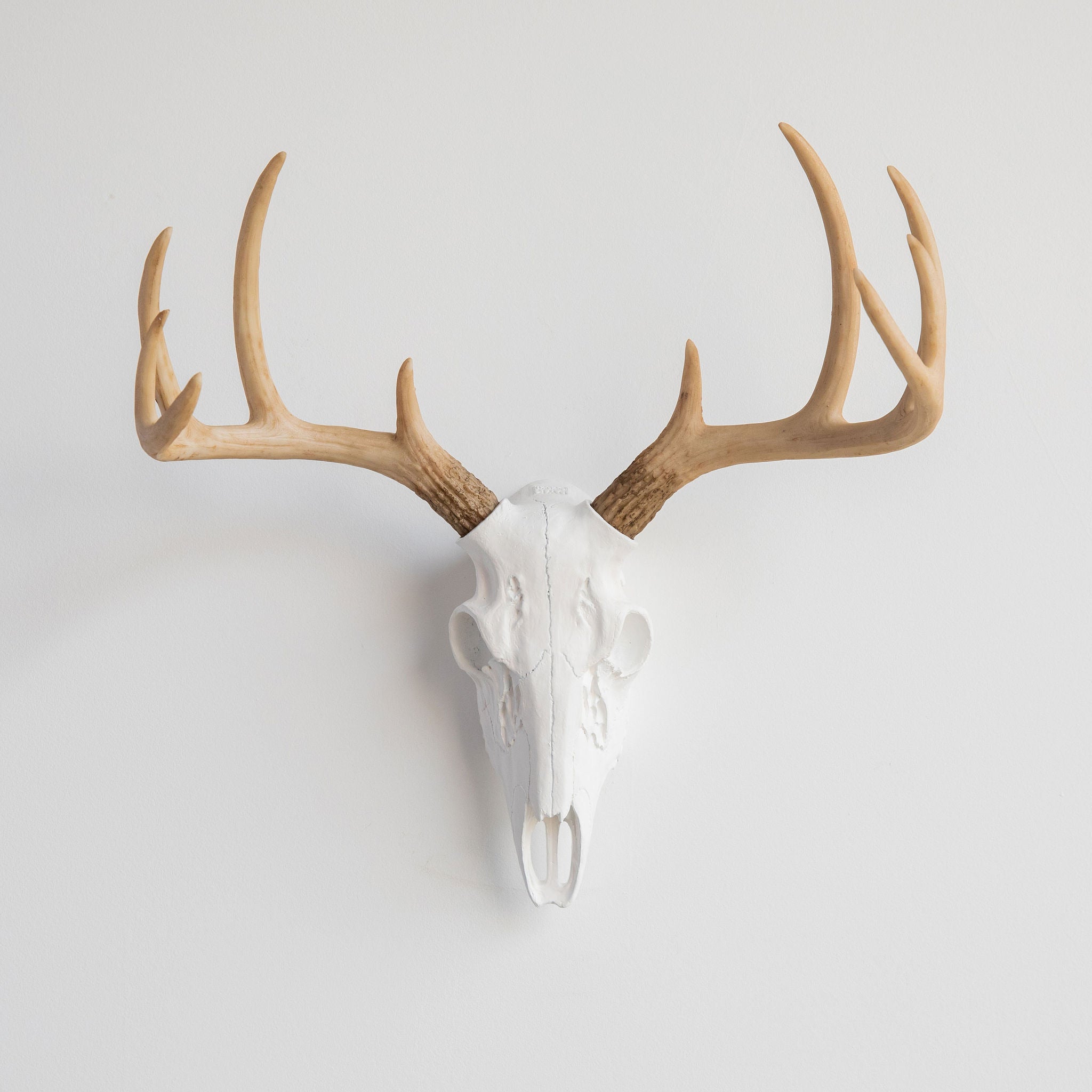Faux Small Deer Skull // White with Natural Antlers