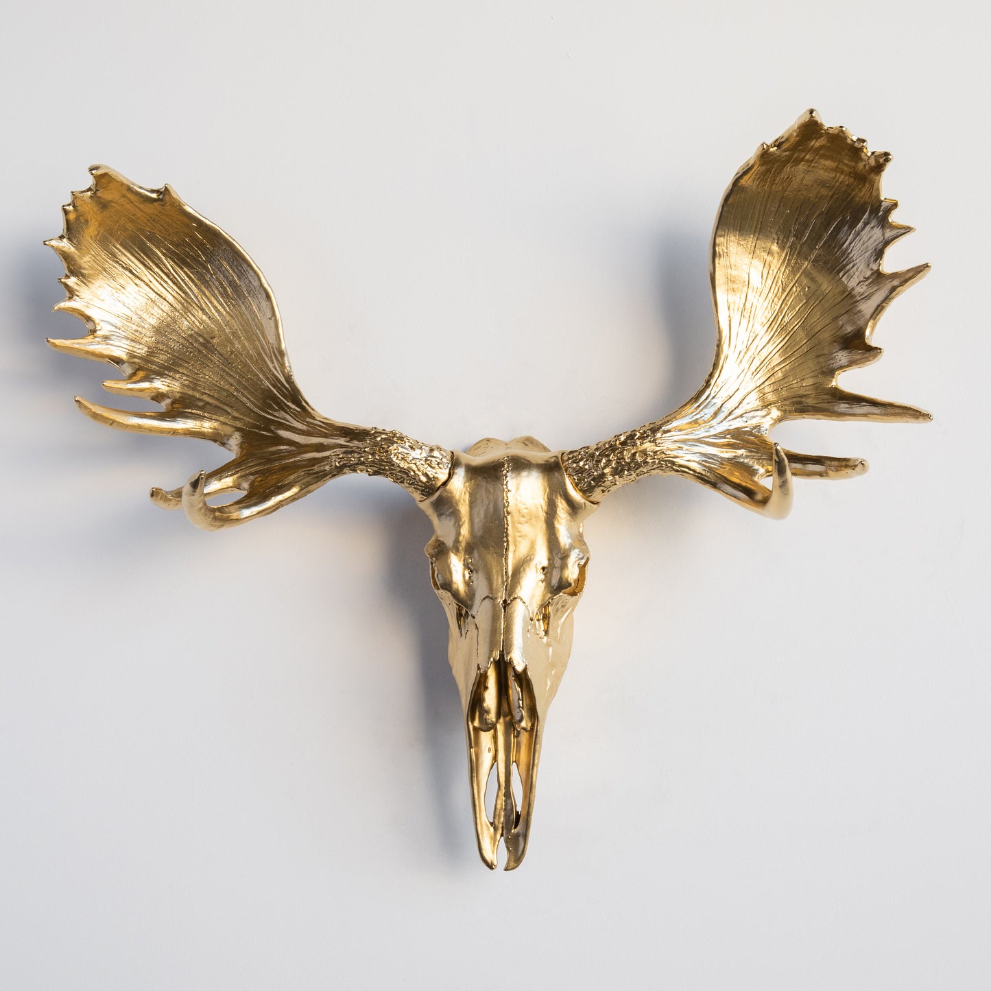 Faux Moose Skull Wall Mount // Gold