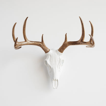 Faux Deer Skull // White and Bronze
