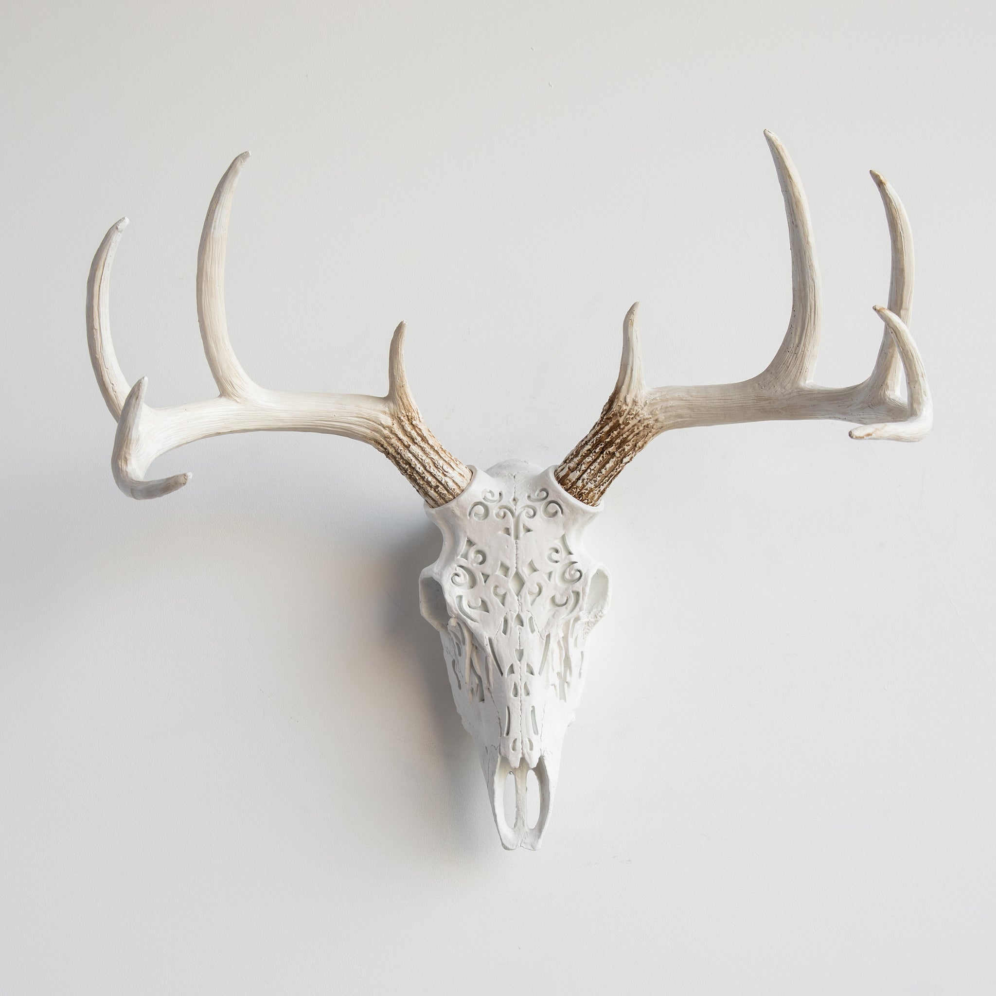Faux Carved Deer Skull // White and Realistic