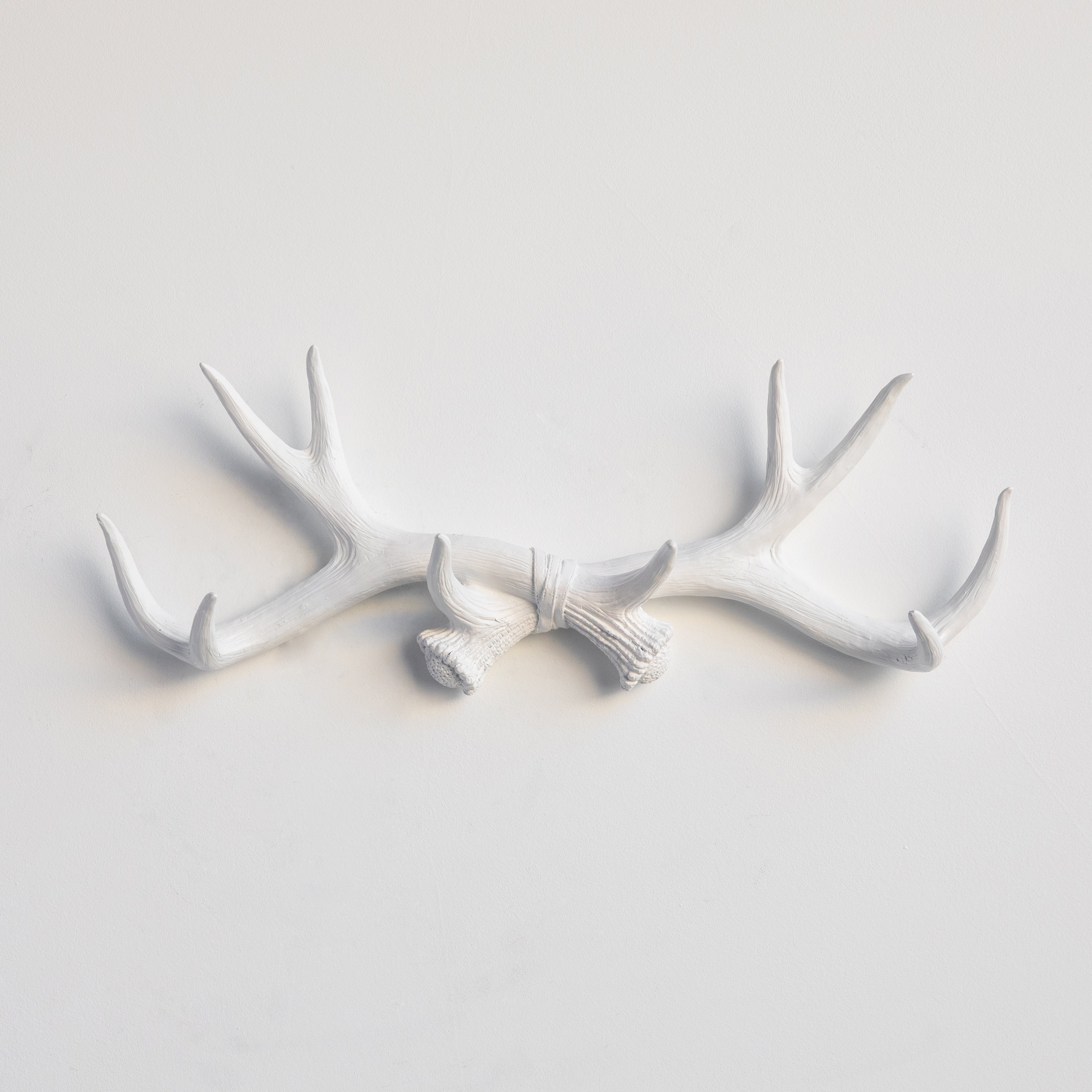 Deer antler 2024 wall hooks