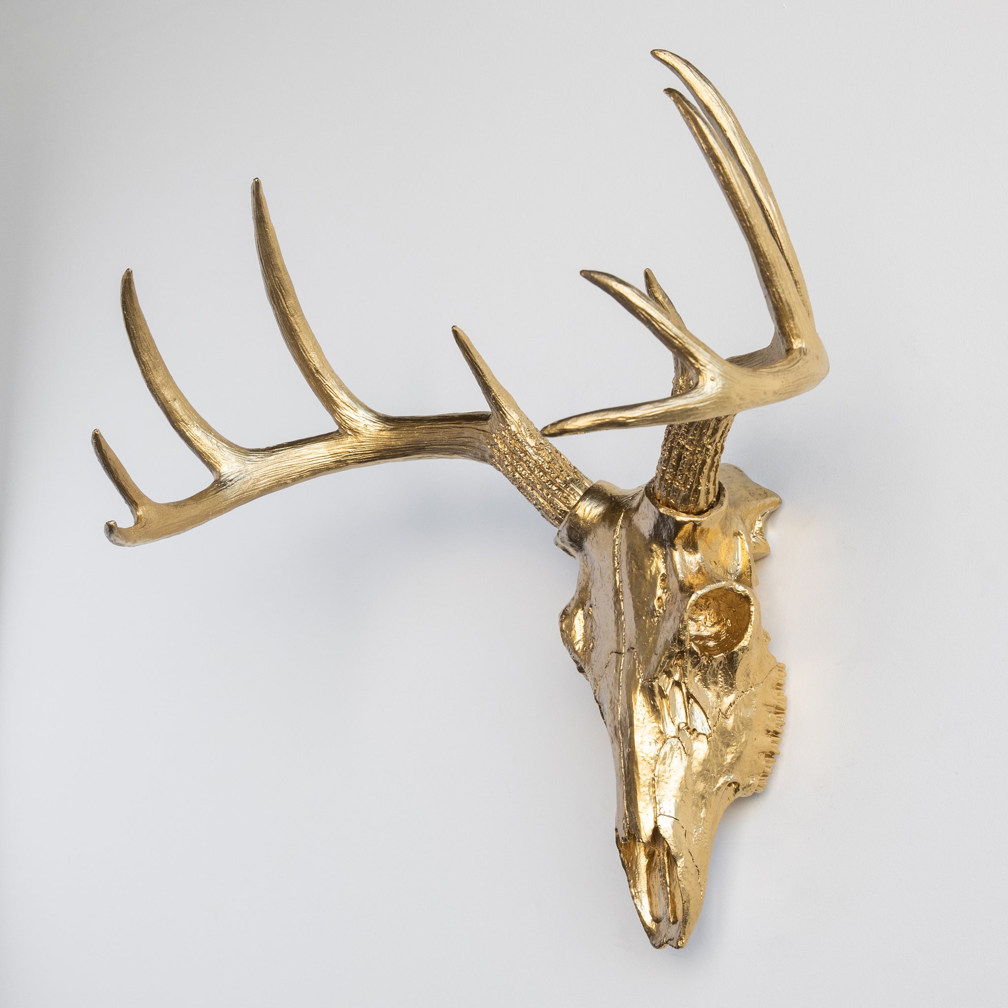 Faux Deer Skull // Gold