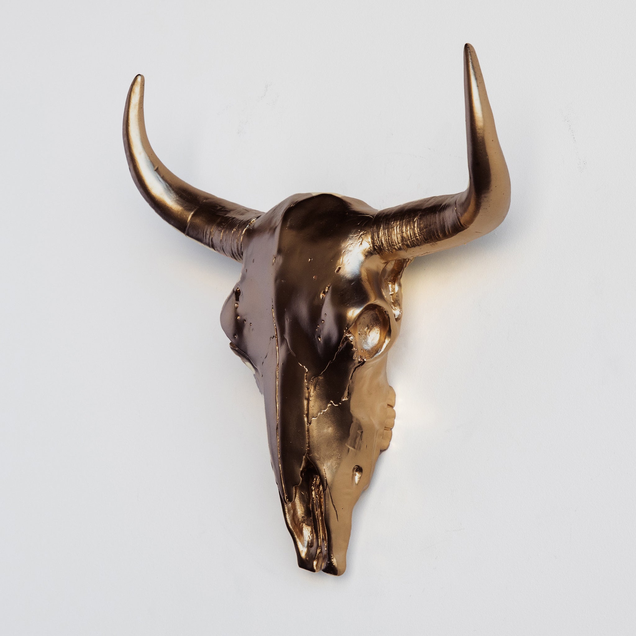 Faux Bison Skull // Bronze