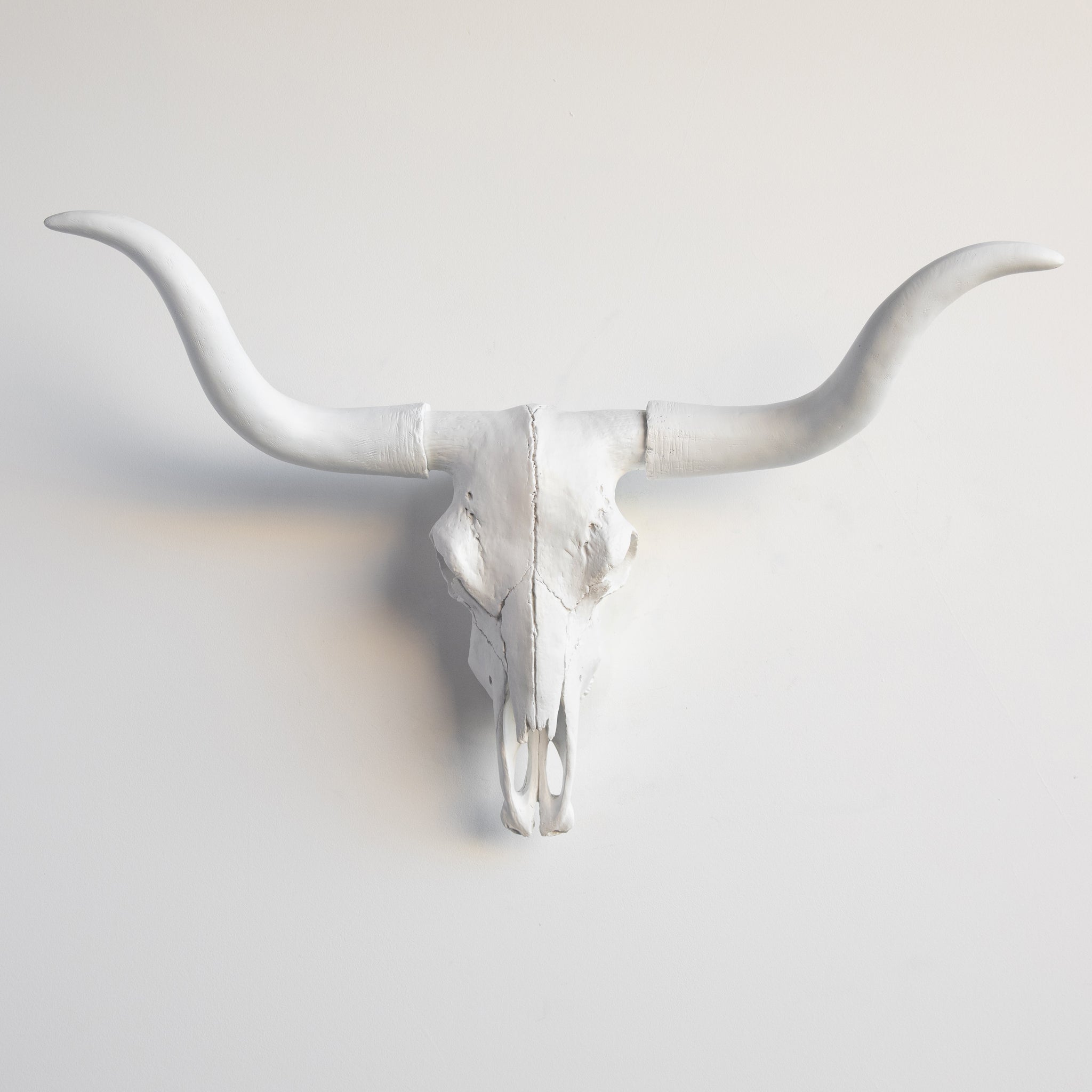 Faux Texas Longhorn Steer Skull Wall Mount // White