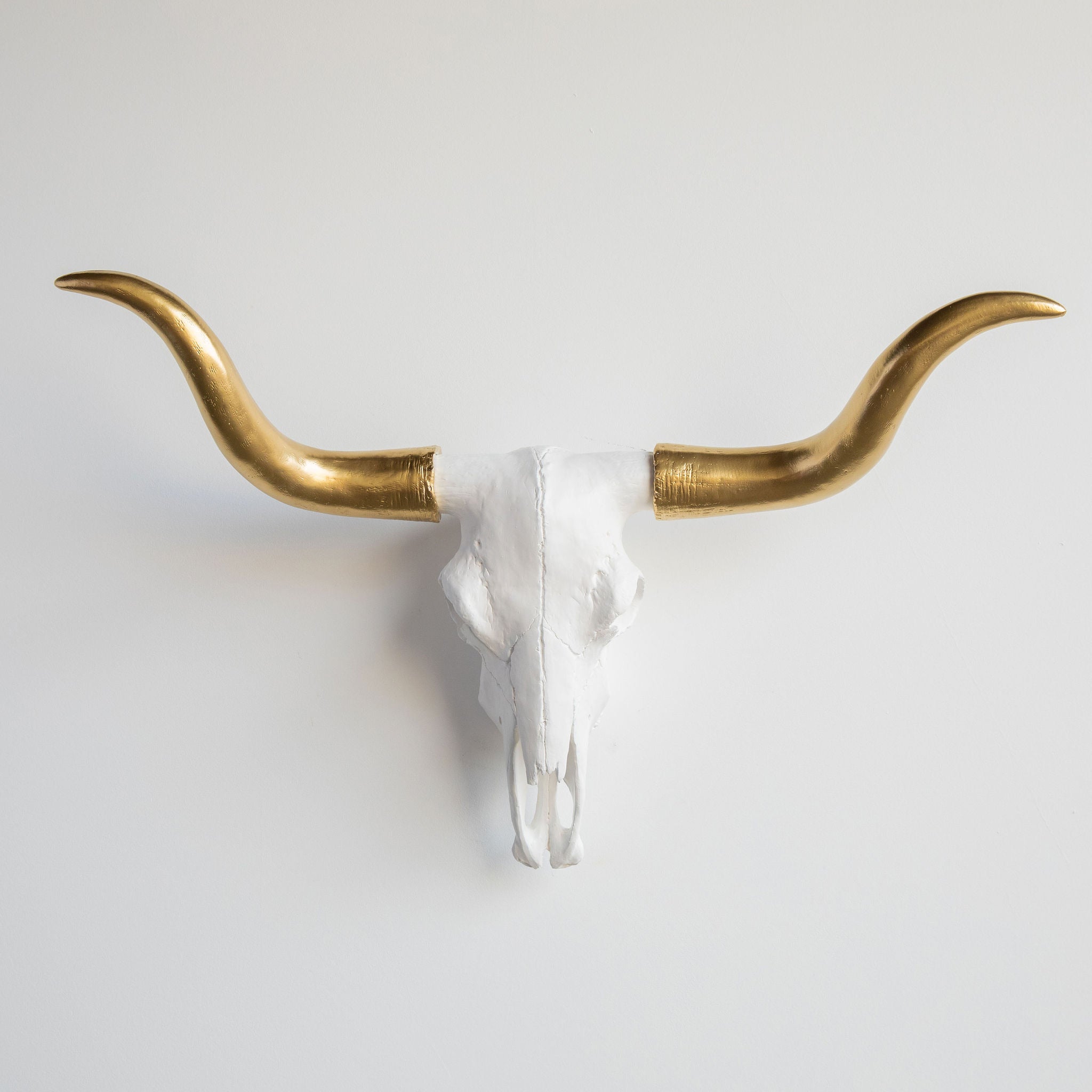 Faux Texas Longhorn Steer Skull Wall Mount // White and Gold