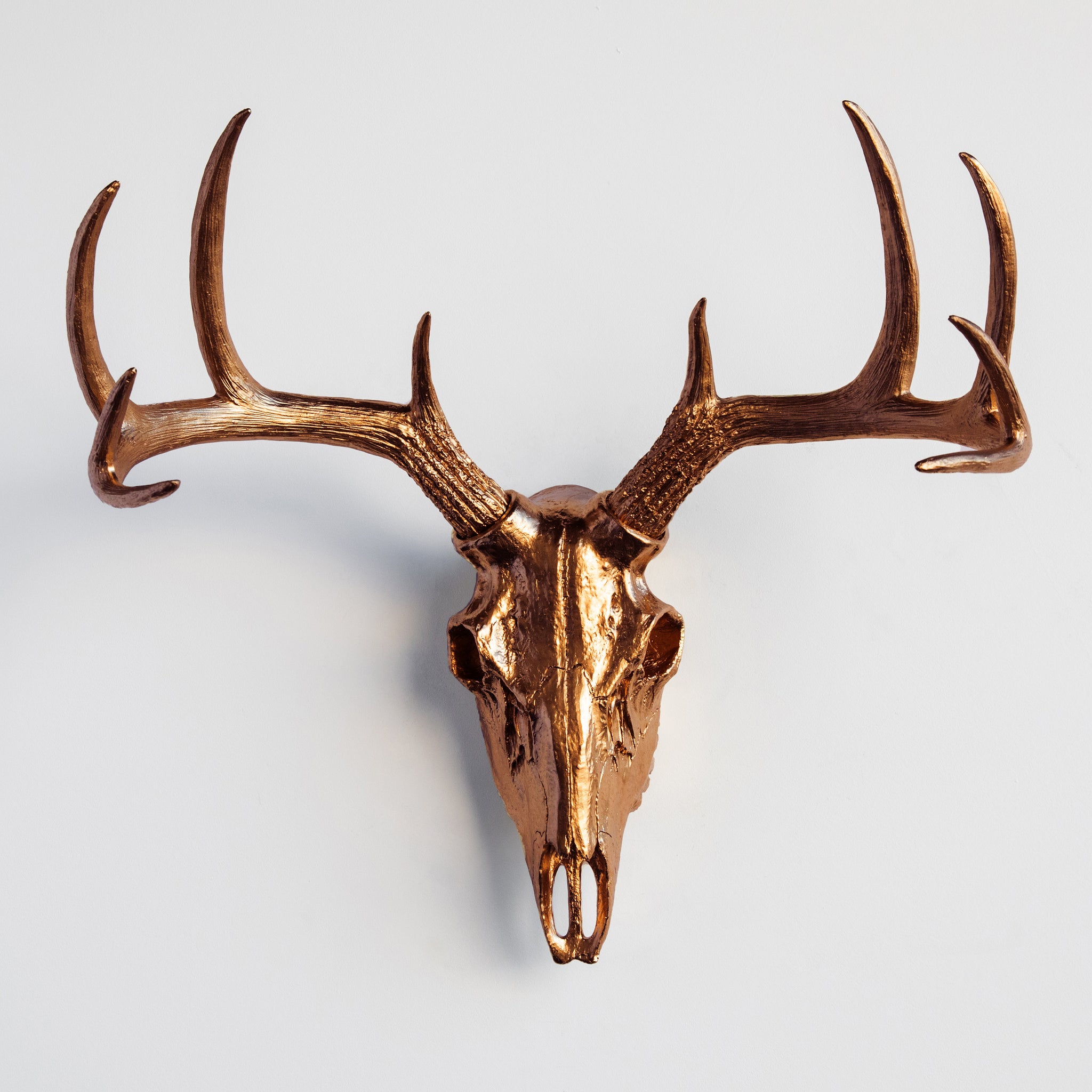 Faux Deer Skull // Bronze