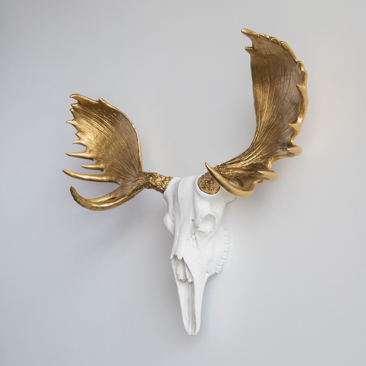 Faux Moose Skull Wall Mount // White and Gold